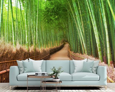 Bamboe Bomen Voetpad Road Wallpaper