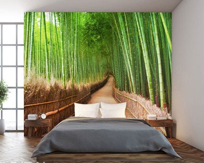 Bamboe Bomen Voetpad Road Wallpaper