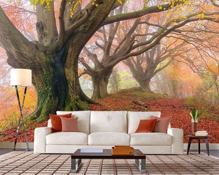 Inschrijven verklaren Ik heb het erkend Herfst Boslandschap Wallpaper 3D-behangen | 3D-achtergronden