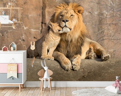 Leeuw foto muur poster Lion