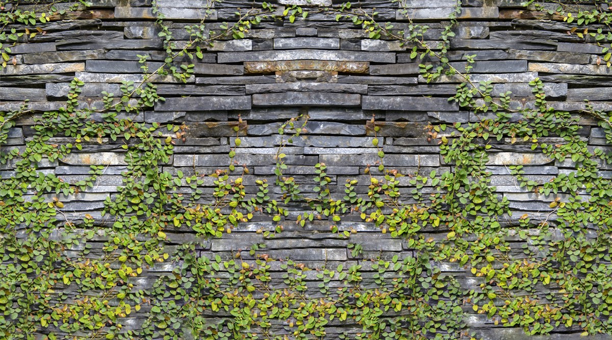 Ivy Stenen Muur Behang