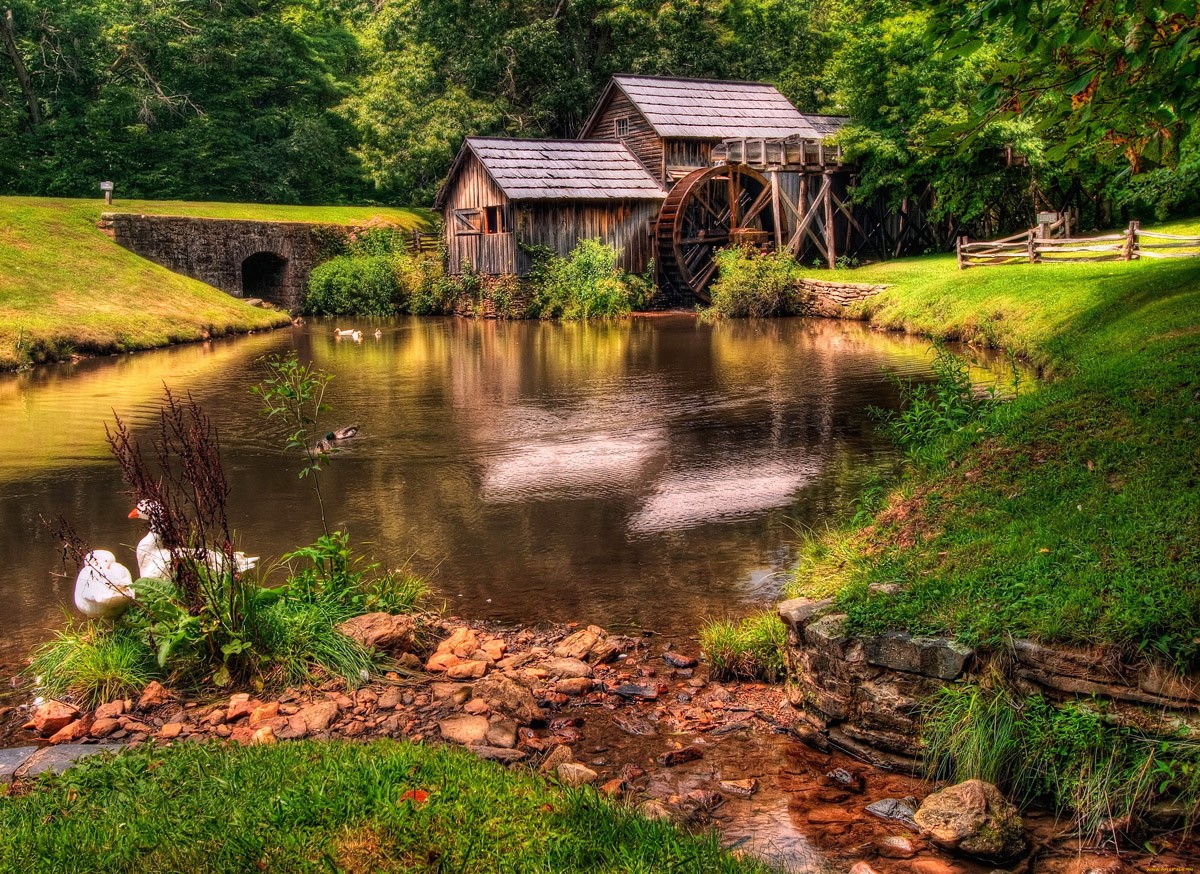 Mill View Lake-behangmodel