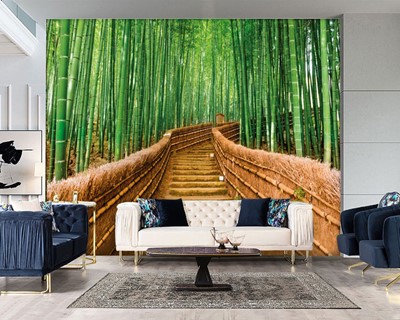 Bamboe Boom Achtergronden
