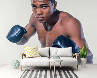 Achtergronden van Muhammad Ali Boxer
