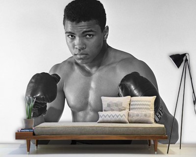 Muhammad Ali Clay-behangvoorbeelden