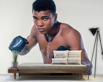 Achtergronden van Muhammad Ali Boxer