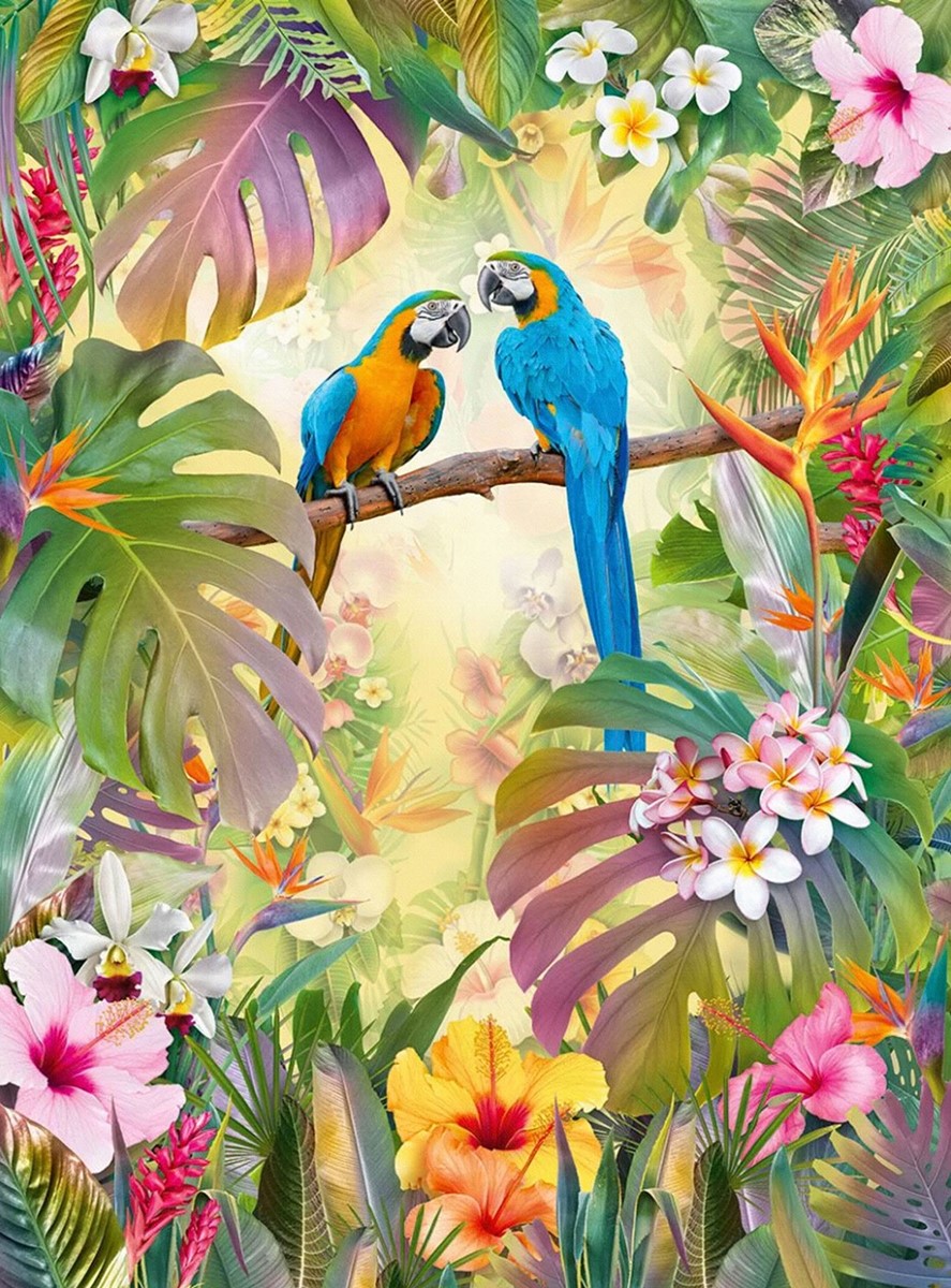 Tropische Bos Papegaaien Wallpaper