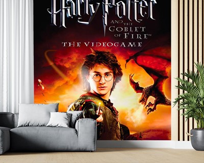 Harry Potter-muurposter