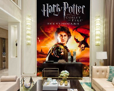 Harry Potter-muurposter