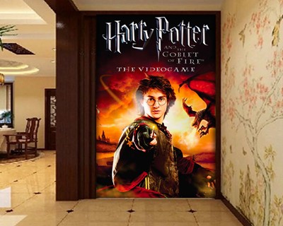 Harry Potter-muurposter