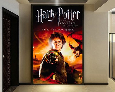 Harry Potter-muurposter