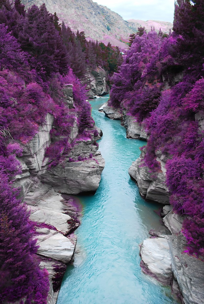 River Between Two Mountains And Purple Leaf Tree Wallpaper