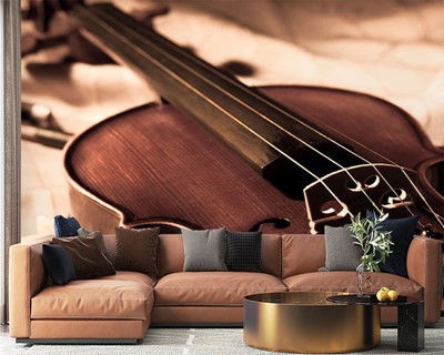 Violin Picture Wallpaper Image