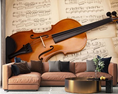 Violin Picture Wall Posters