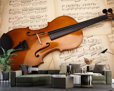 Violin Picture Wall Posters