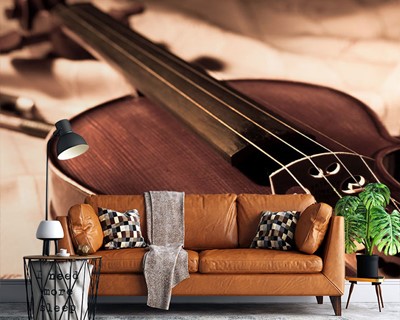 Violin Picture Wallpaper Image