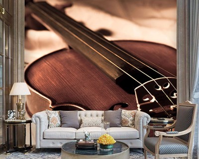 Violin Picture Wallpaper Image