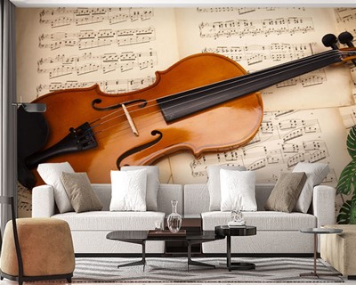 Violin Picture Wall Posters