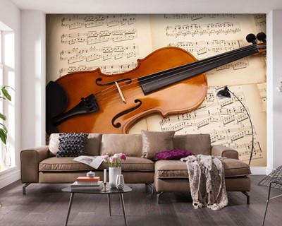 Violin Picture Wall Posters