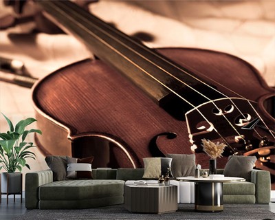 Violin Picture Wallpaper Image