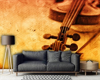 Violin Picture Wall Poster