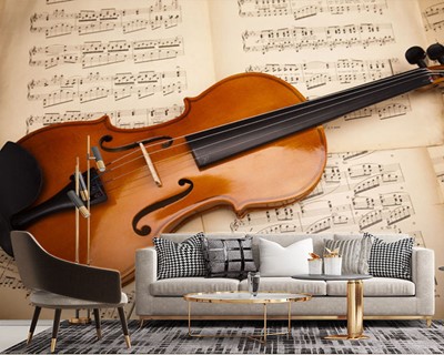 Violin Picture Wall Posters