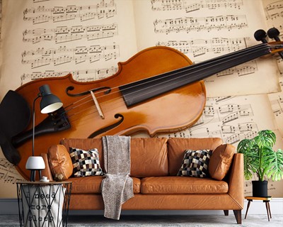 Violin Picture Wall Posters