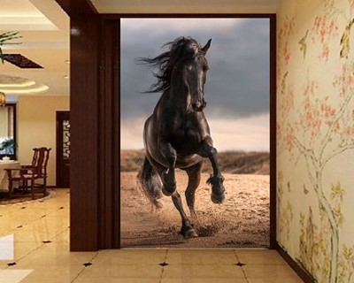 Zwart Paard Foto Wallpaper