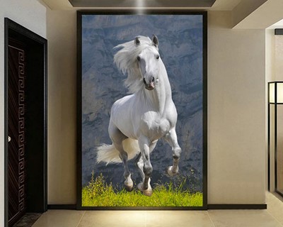 Wit Paard Foto Wallpaper