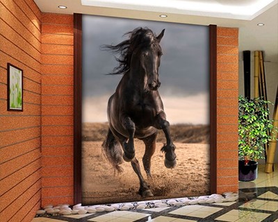 Zwart Paard Foto Wallpaper