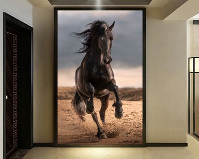 Zwart Paard Foto Wallpaper