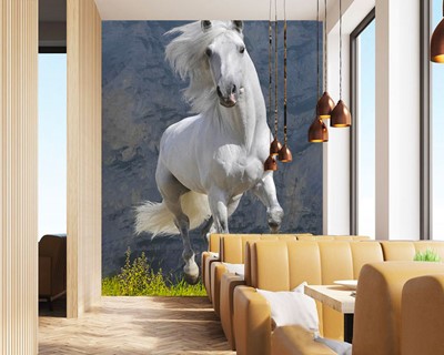 Wit Paard Foto Wallpaper