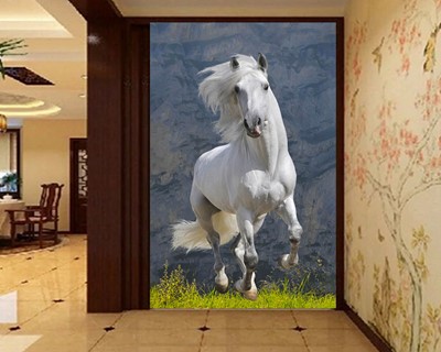 Wit Paard Foto Wallpaper