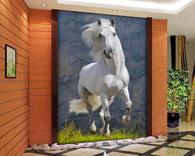 Wit Paard Foto Wallpaper