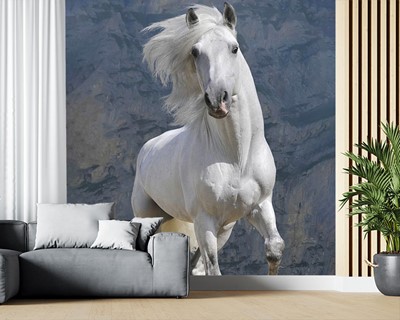 Wit Paard Foto Wallpaper