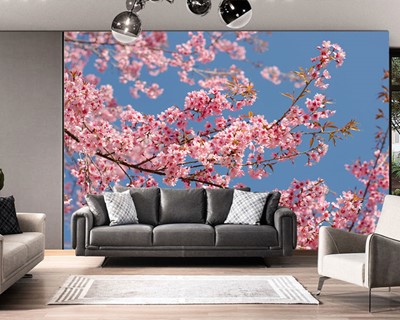 Roze Boom Bloem Behang