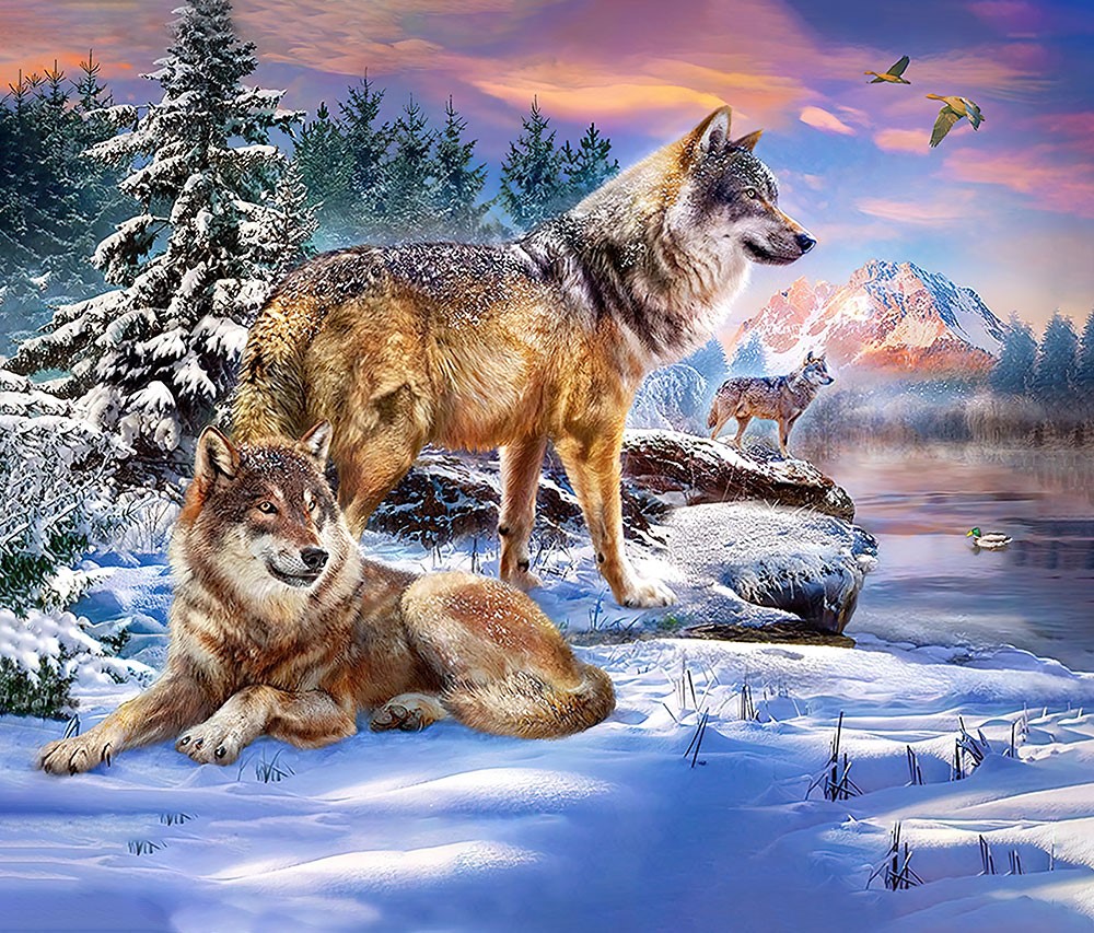 Wolf foto behangmodel