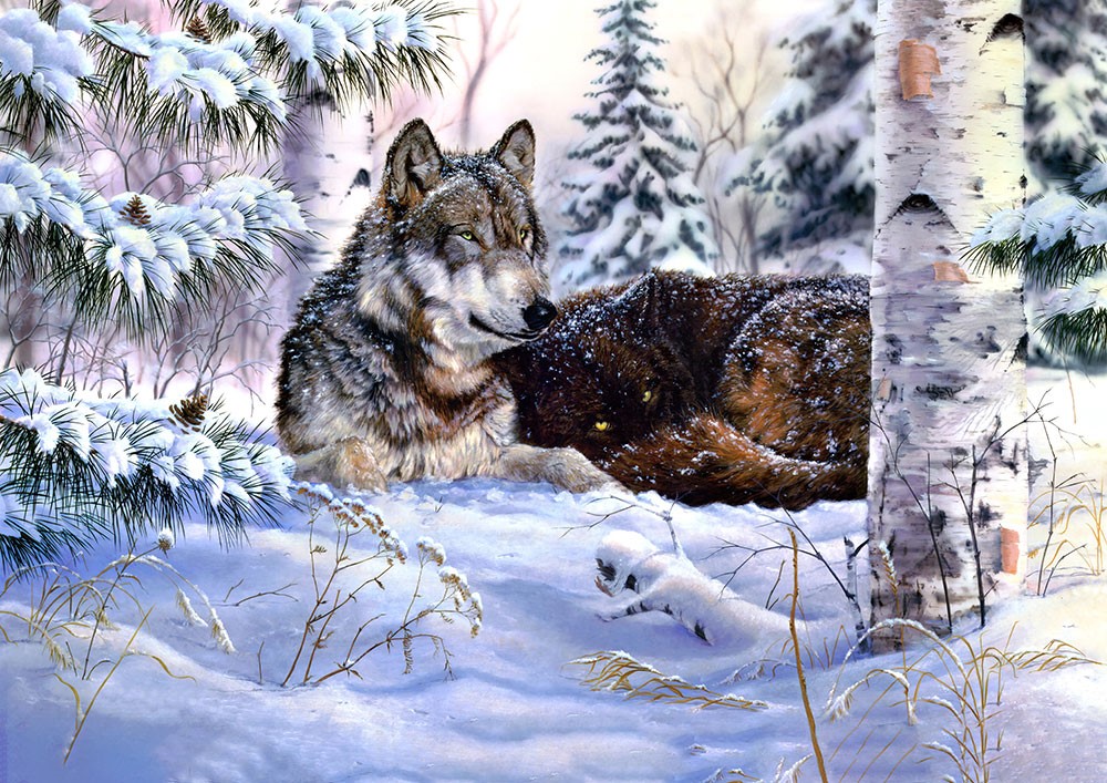 Wolf foto canvas behang