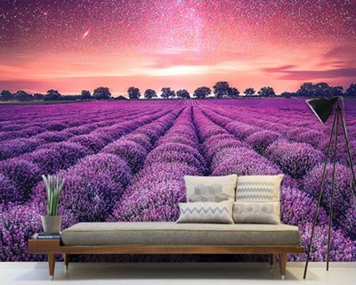 Lavendel Tuin Behang