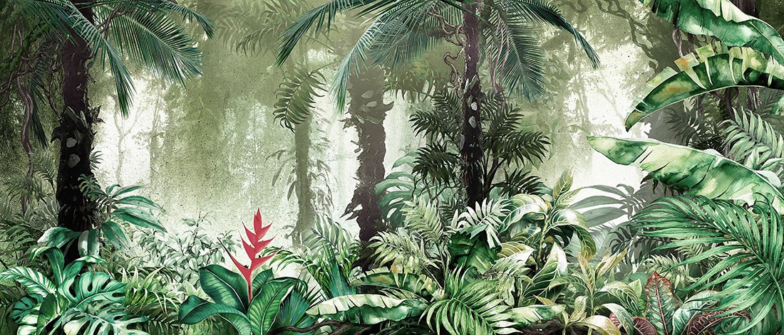 Behang met tropisch oerwoudthema