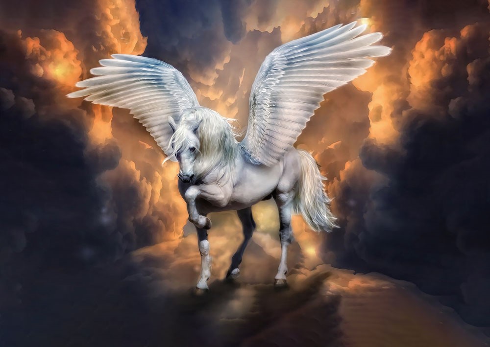 Pegasus Paard Foto Wallpaper Model