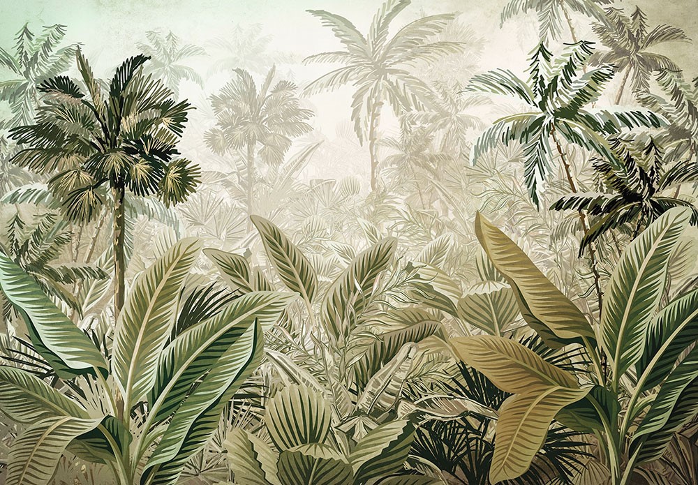 Tropisch Bos Foto Wallpaper