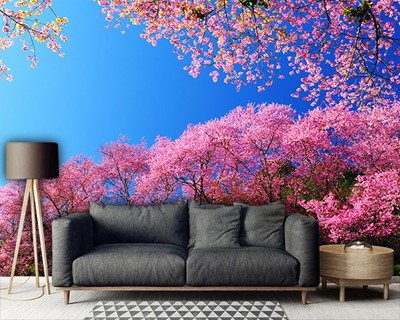 Sakura Blossom-behangmodel