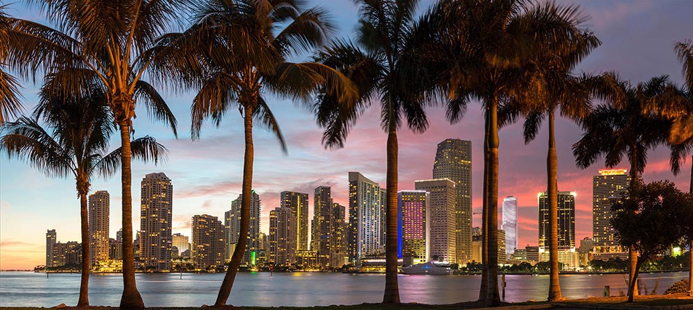 Miami City View-achtergrond