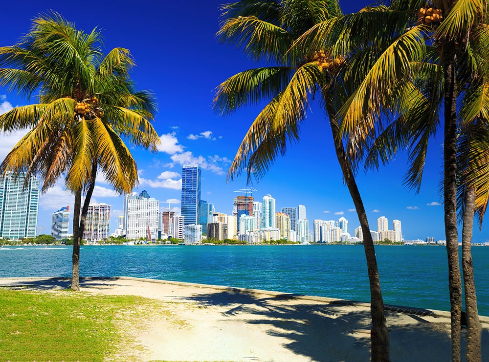 Miami stad en zeezicht behang