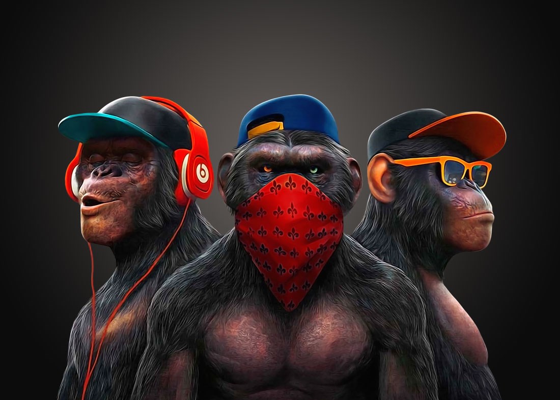 Cool 3 apen behang