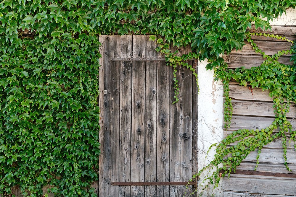 Behang met houten deur uitstraling