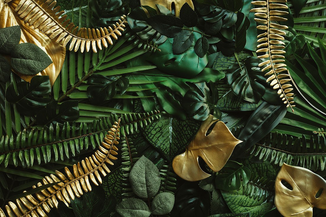 behang met tropische bladeren en planten