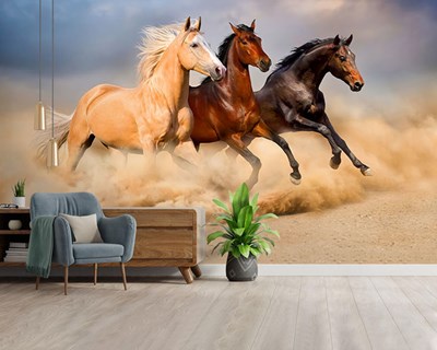 muurschildering met 3 paarden als thema 