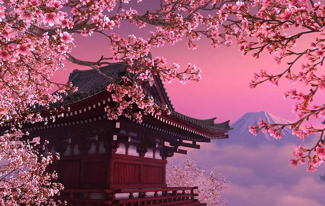japans sakura boom behang